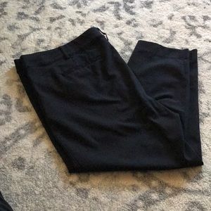 Lane Bryant Sophie Pants